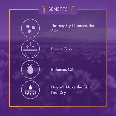 https://cdn.shopify.com/s/files/1/1857/6931/files/NNgKFHsNPV-669382.png?v=1736150940